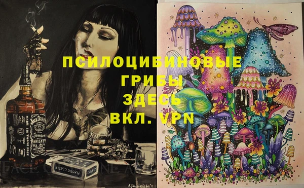2c-b Алексеевка