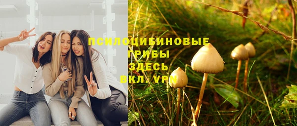 2c-b Алексеевка